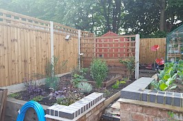 Trellis Fencing 7