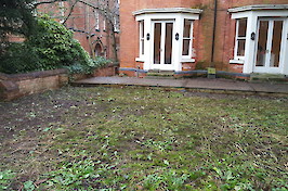Gardening Nottingham Garden 7